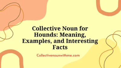 Collective Noun for Hounds: Meaning, Examples, and Interesting Facts