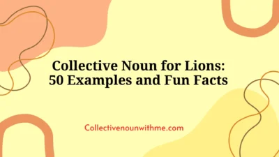 Collective Noun for Lions: 50 Examples and Fun Facts