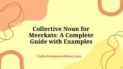 Collective Noun for Meerkats: A Complete Guide with Examples