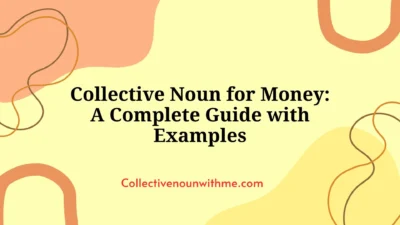 Collective Noun for Money: A Complete Guide with Examples