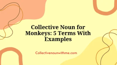 Collective Noun for Monkeys: 5 Terms With Examples