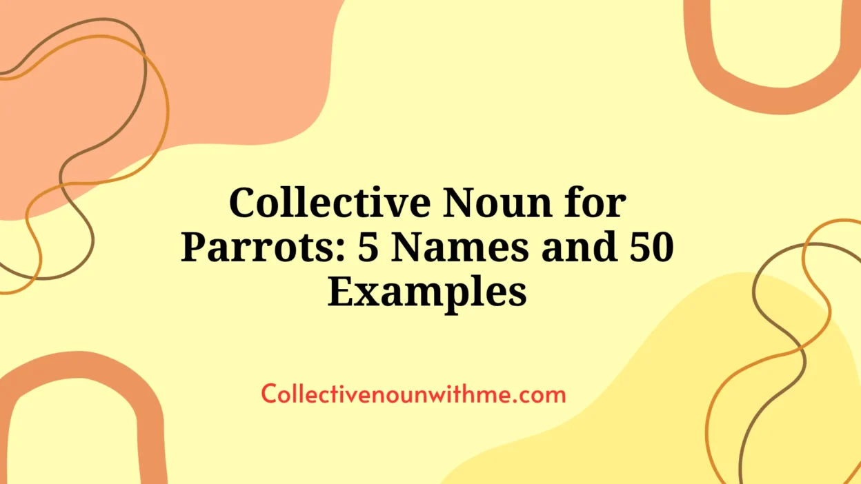 Collective Noun for Parrots: 5 Names and 50 Examples