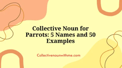 Collective Noun for Parrots: 5 Names and 50 Examples