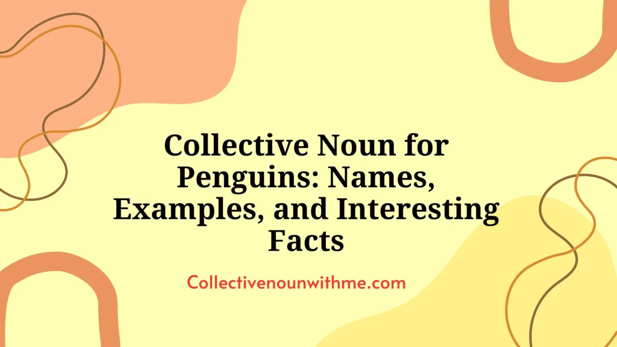 Collective Noun for Penguins: Names, Examples, and Interesting Facts