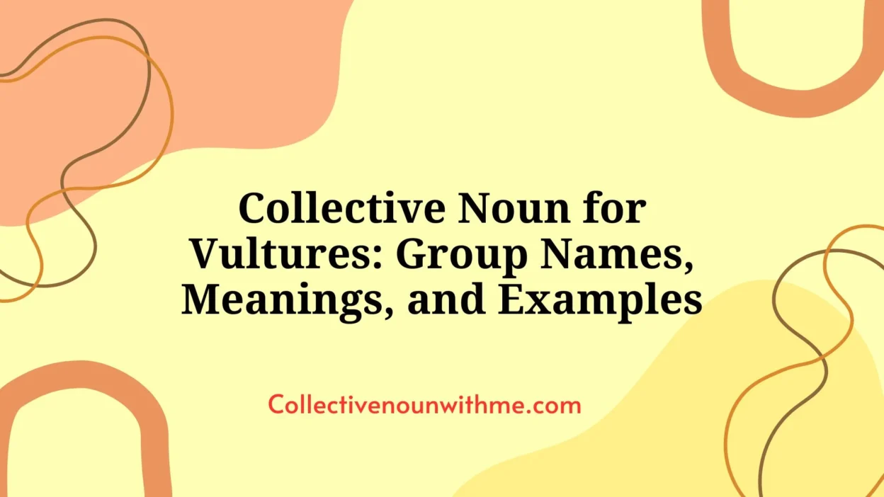 Collective Noun for Vultures: Group Names, Meanings, and Examples