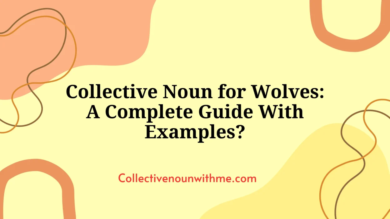 Collective Noun for Wolves: A Complete Guide With Examples?