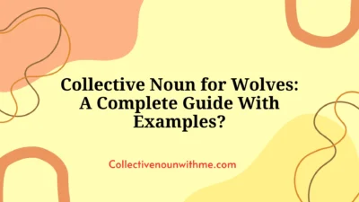 Collective Noun for Wolves: A Complete Guide With Examples?