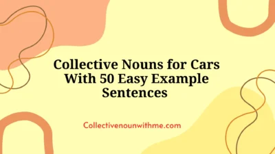 Collective Nouns for Cars With 50 Easy Example Sentences