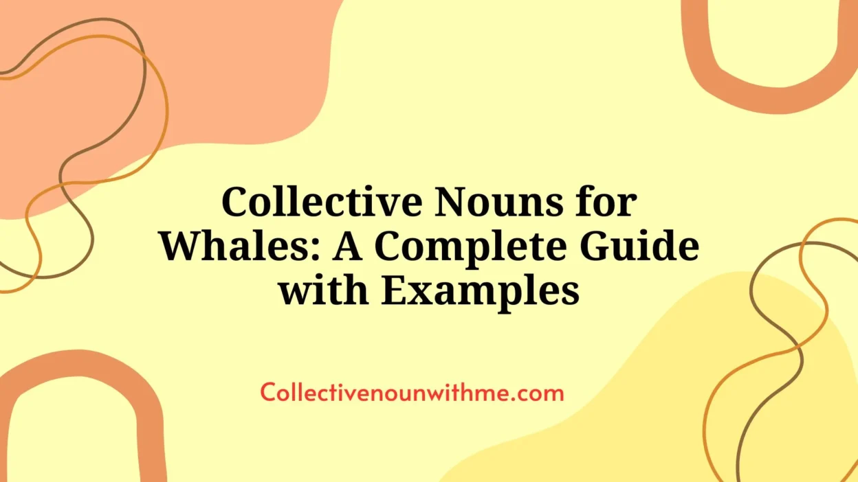 Collective Nouns for Whales: A Complete Guide with Examples